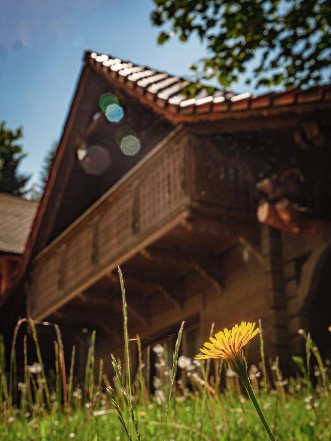 Tworzowka - Ekskluzywne Domy W Gorach Zabnica Экстерьер фото